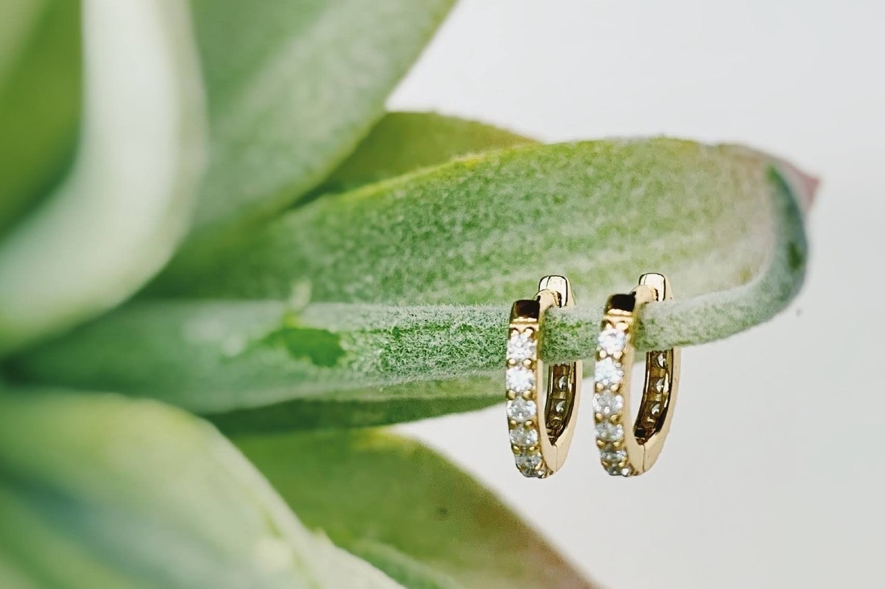 A pair of yellow gold diamond hoop earrings hanging on the leaf A pair of yellow gold diamond hoop earrings hanging on the leaf