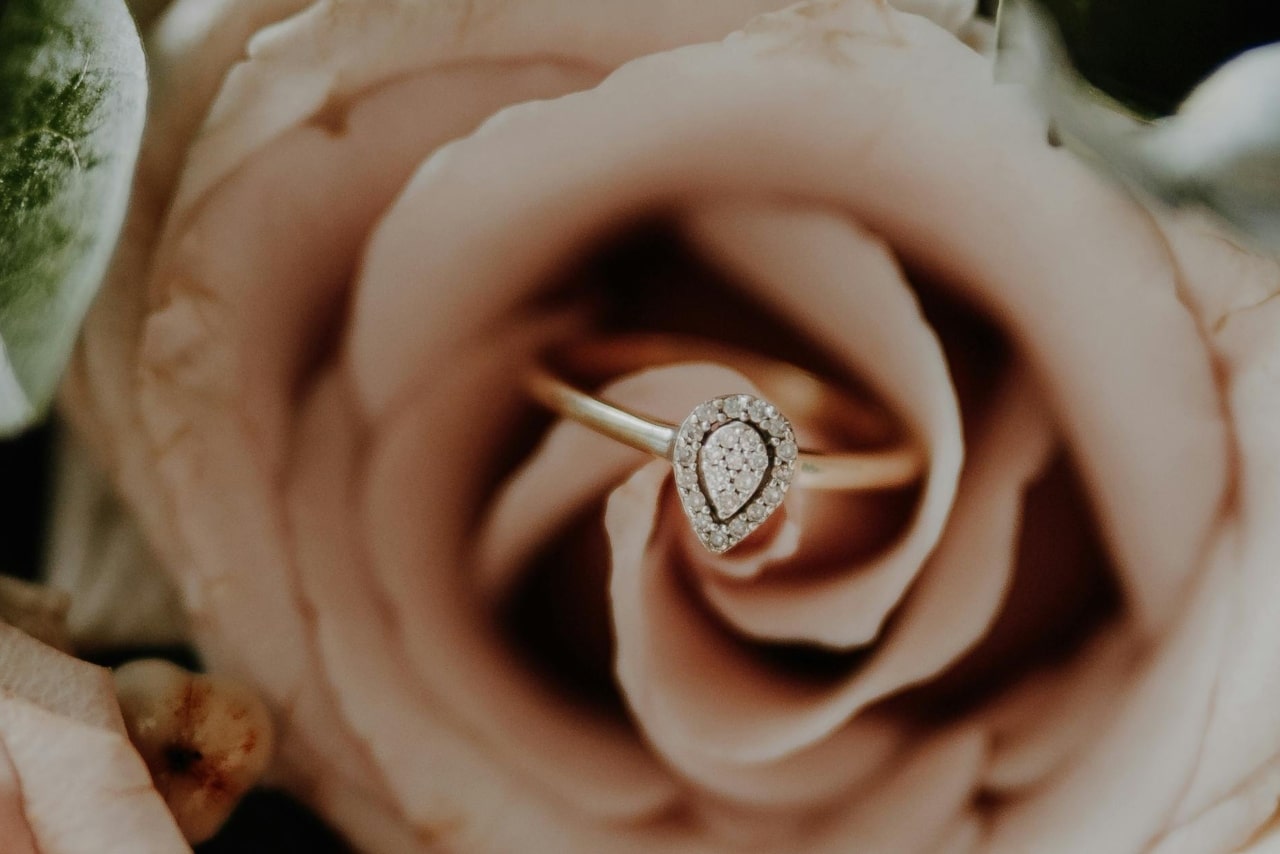 A pear shaped halo engagement ring inside the pink rose