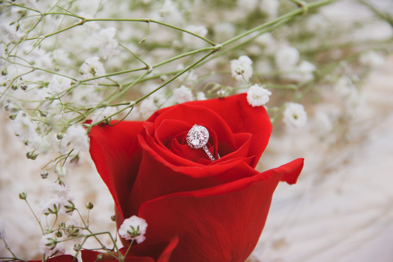 A diamond engagement ring sitting on top of a rose