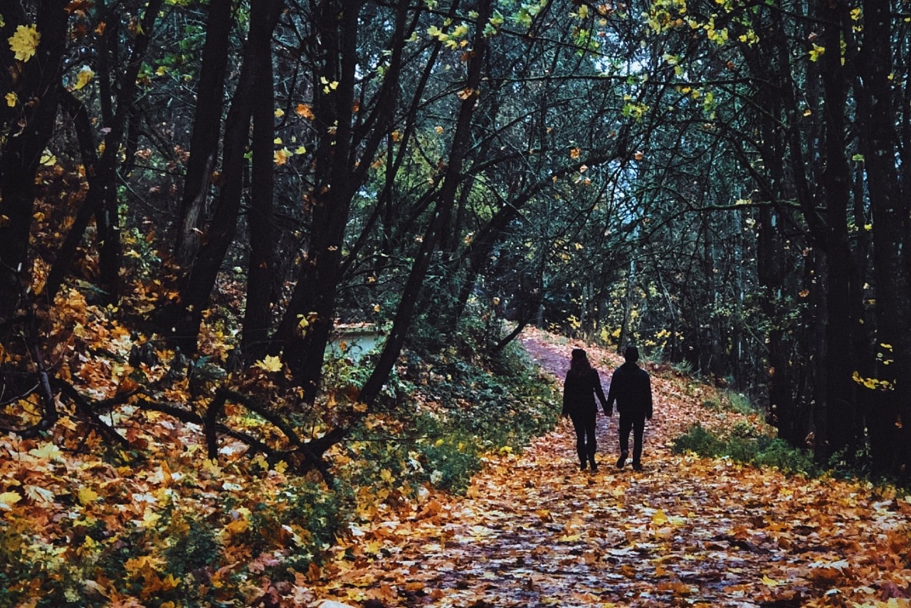 A couple walking down a pathway through the woods during fall