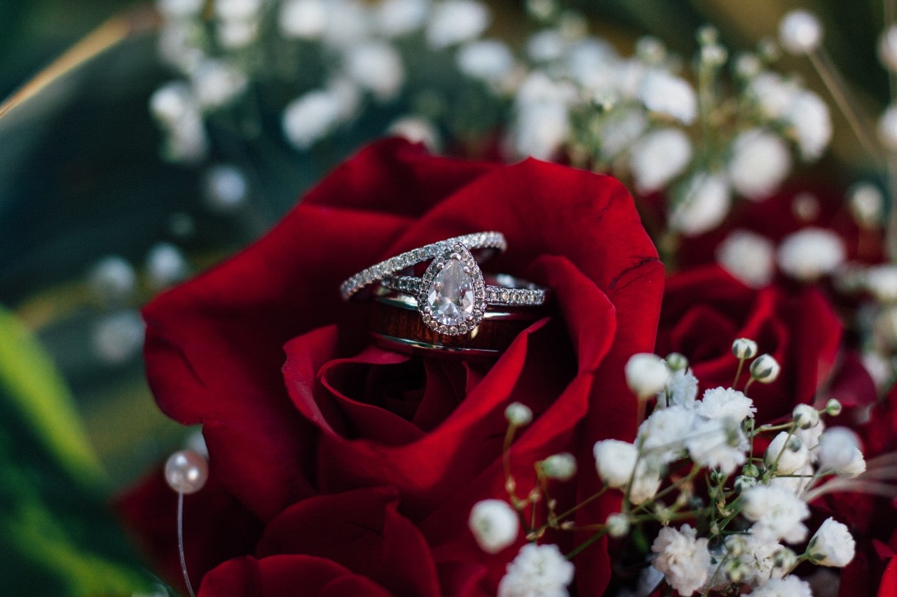 two diamond bridal rings nestled inside a red rose